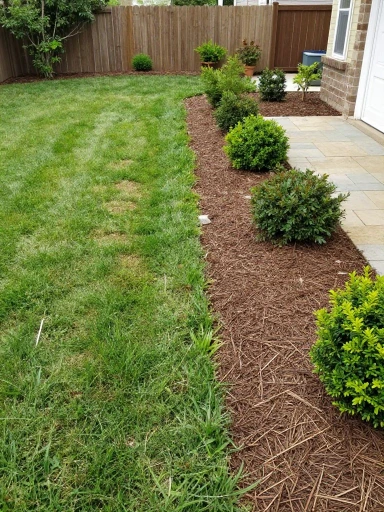 Best Backyard Landscaping Ideas for Any Budget