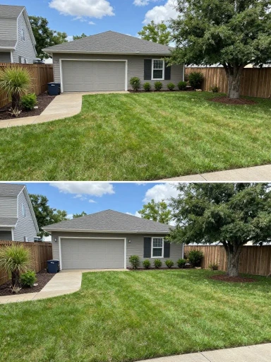 Common Front Yard Landscaping Mistakes to Avoid