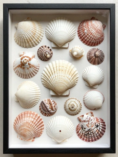 Final Tips for Stunning Handmade Seashell Art