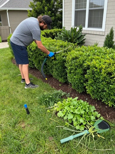 How to Maintain Beautiful Curb Appeal All Year Round