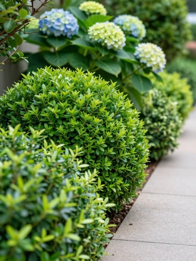Choosing the Best Plants and Shrubs for Your Front Yard