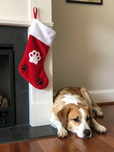 DIY Christmas Stockings for Kids and Pets